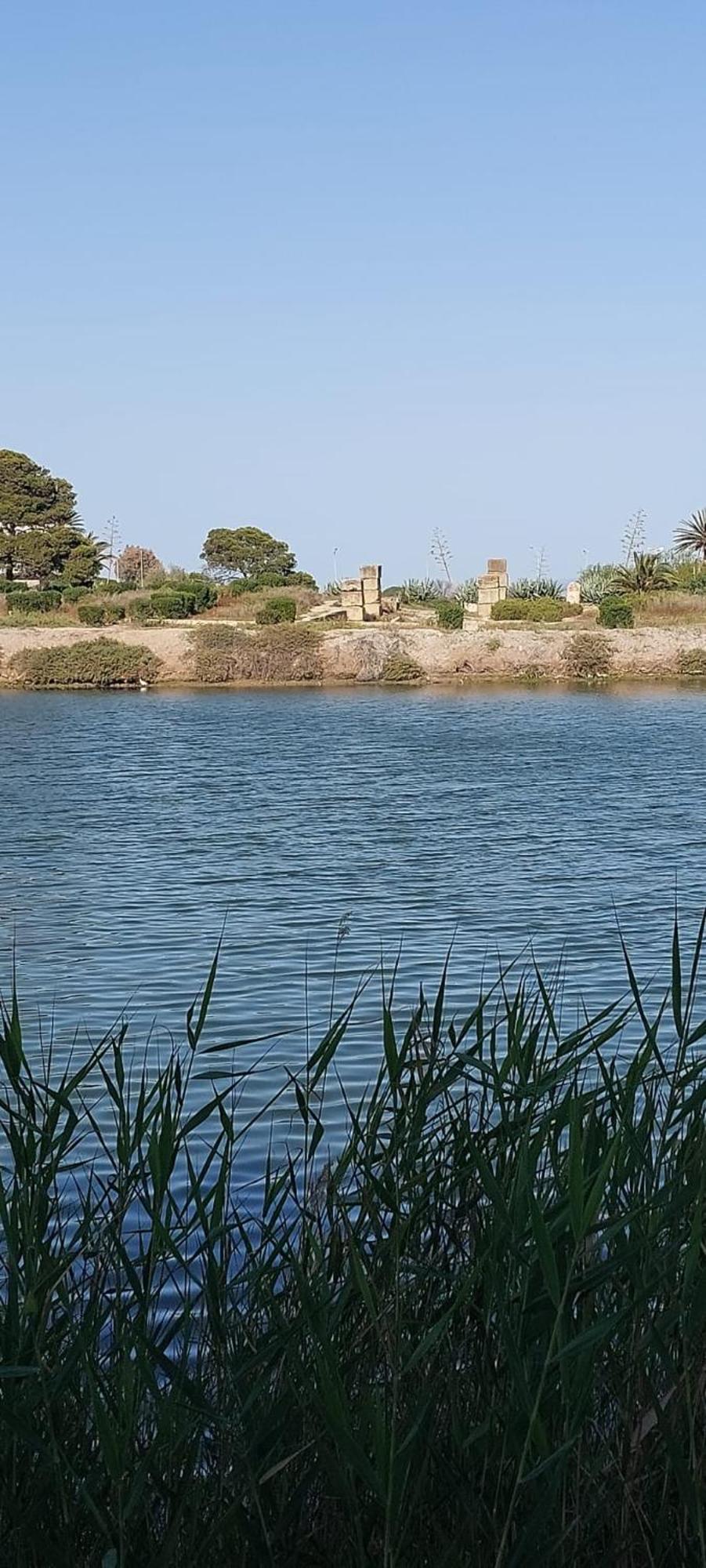 "L'Abri Cotier" Appartement 3 Chambres Haut Standing Port Punique Carthage Douar ech Chott Exterior foto